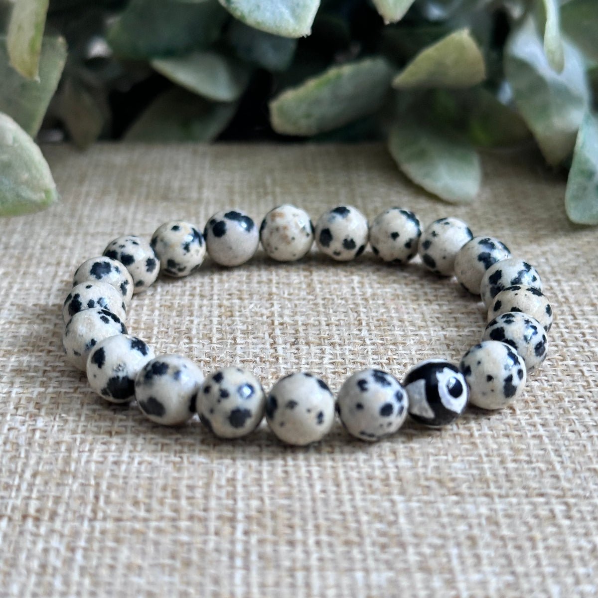 Dalmatian Jasper and DZI Agate Bracelet for Emotional Protection