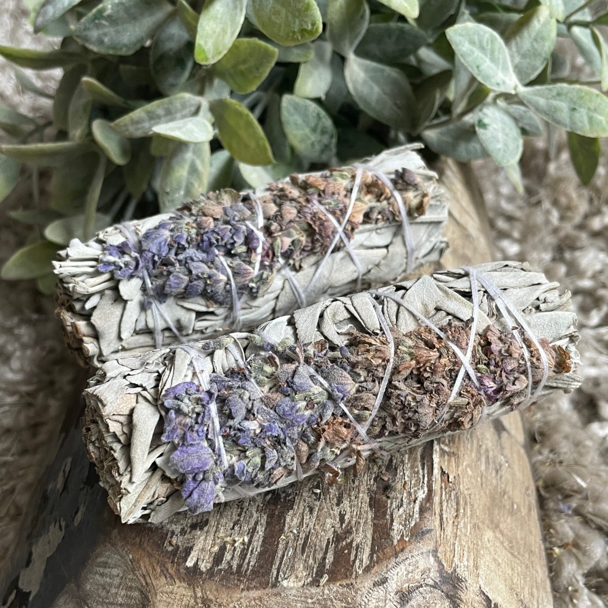 Lavender + White Sage
