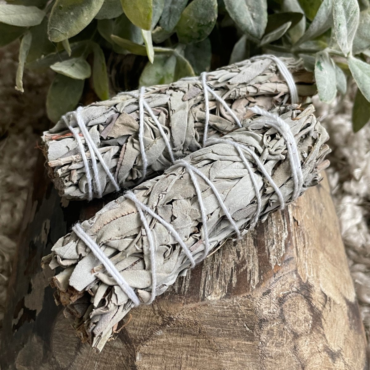 White Sage – InJewels Healing Jewelry