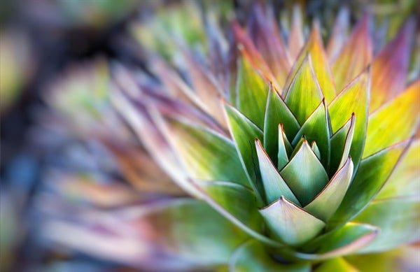 A Great Article on Spiritual Growth