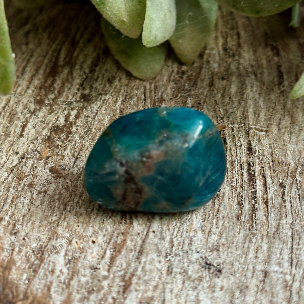 Tumbled Apatite Loose Crystal. Crystal Shop, Healing Crystals