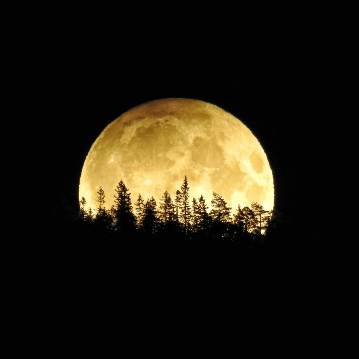 Harvest Moon Photo